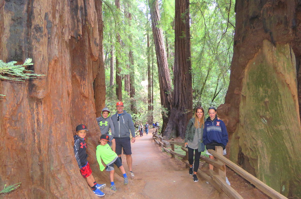 Однодневная поездка в парк секвойи Мьюир Вудс и Саусалито из Сан-Франциско.JPG